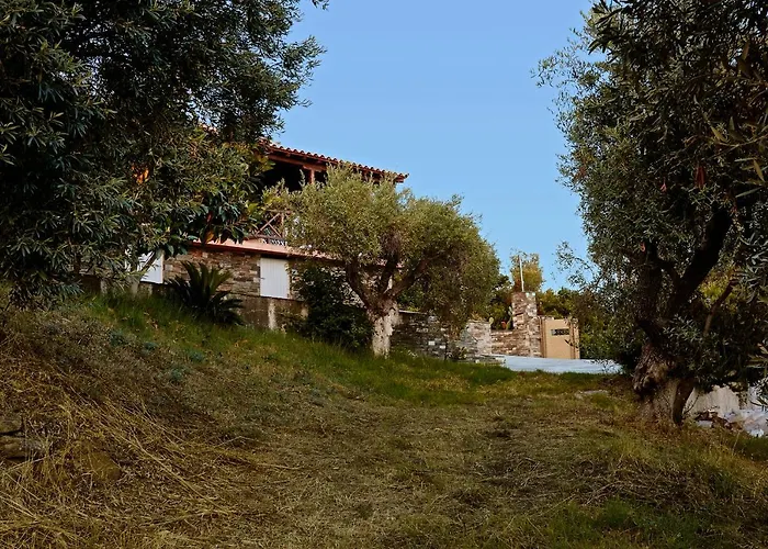 别墅 Skiathos Ira 考考纳里斯