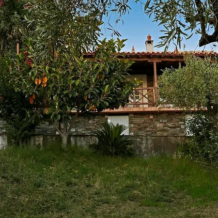 Skiathos Ira * コウコウナリス