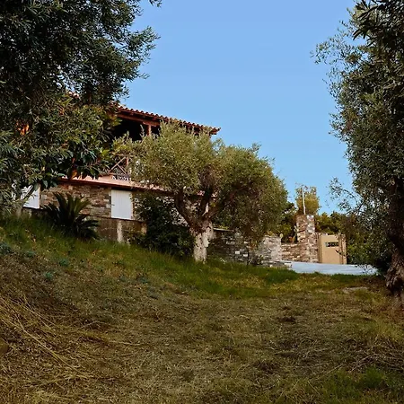 ヴィラ Skiathos Ira コウコウナリス